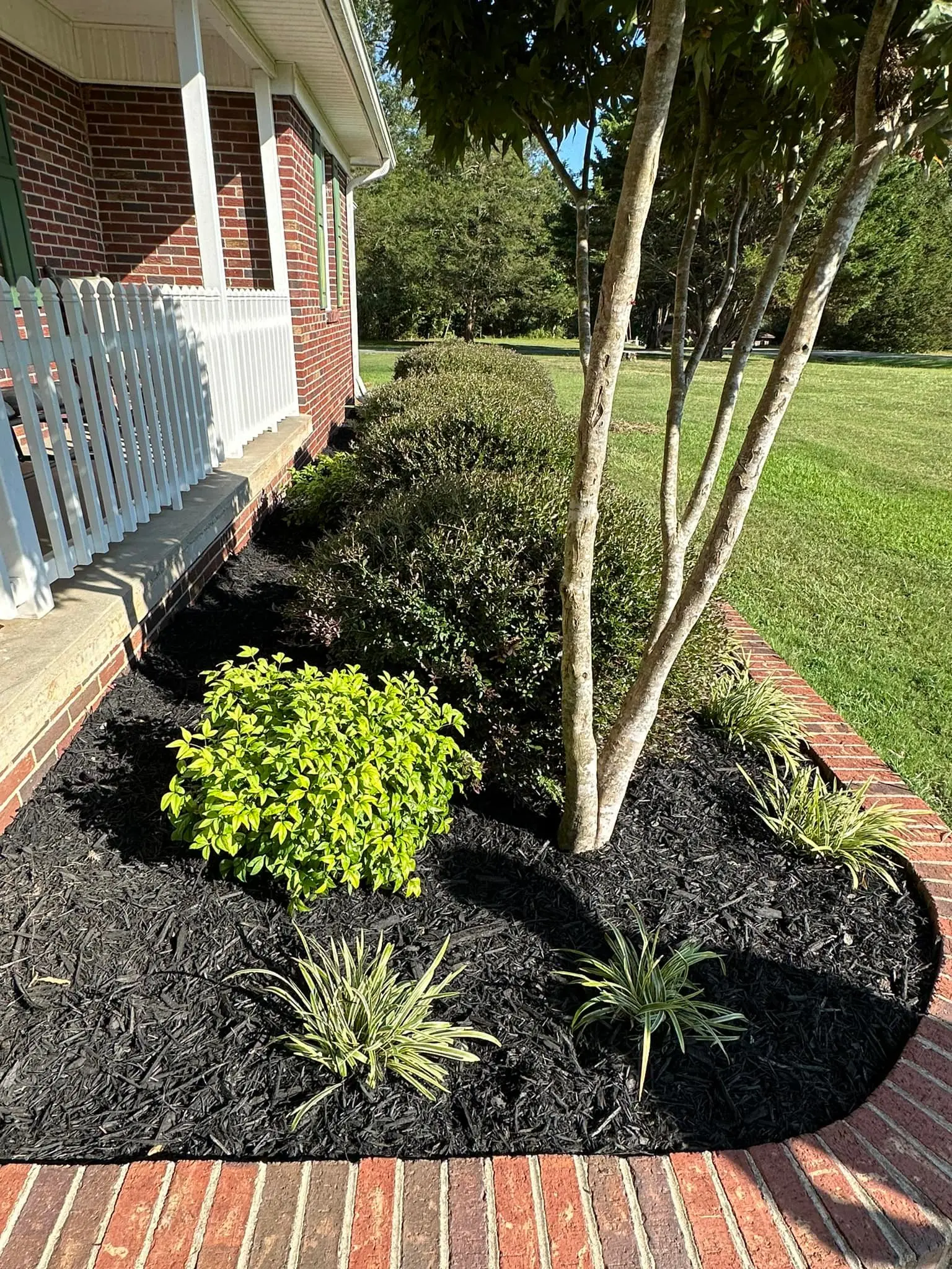 Tree Service
