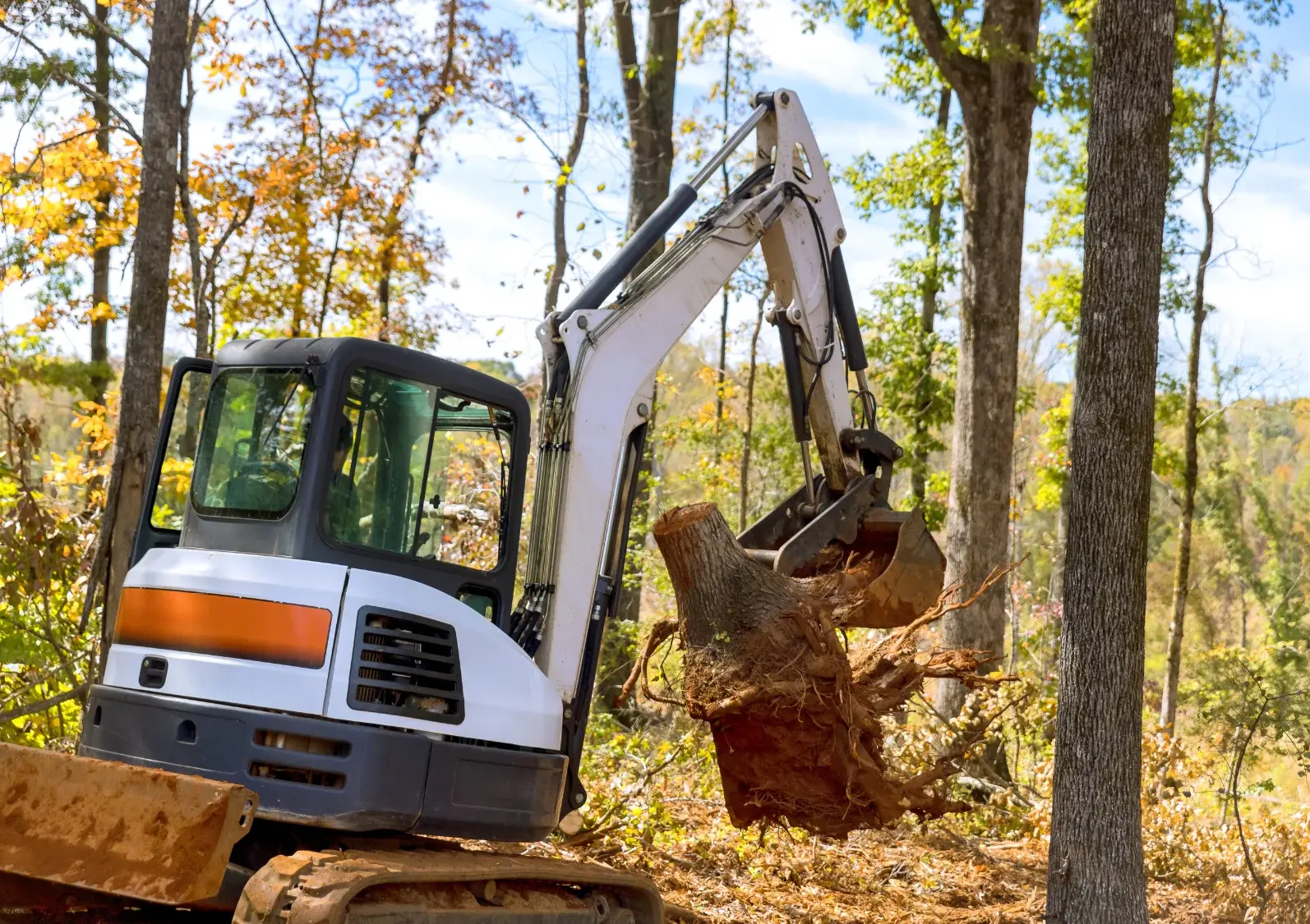 Tree Service